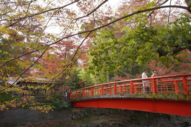 紅葉が舞う修善寺で11月の特別なフォトウェディングを