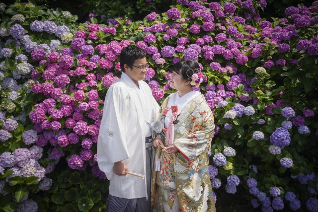 伊豆の紫陽花が咲き誇る季節に訪れたい絶景スポット紹介